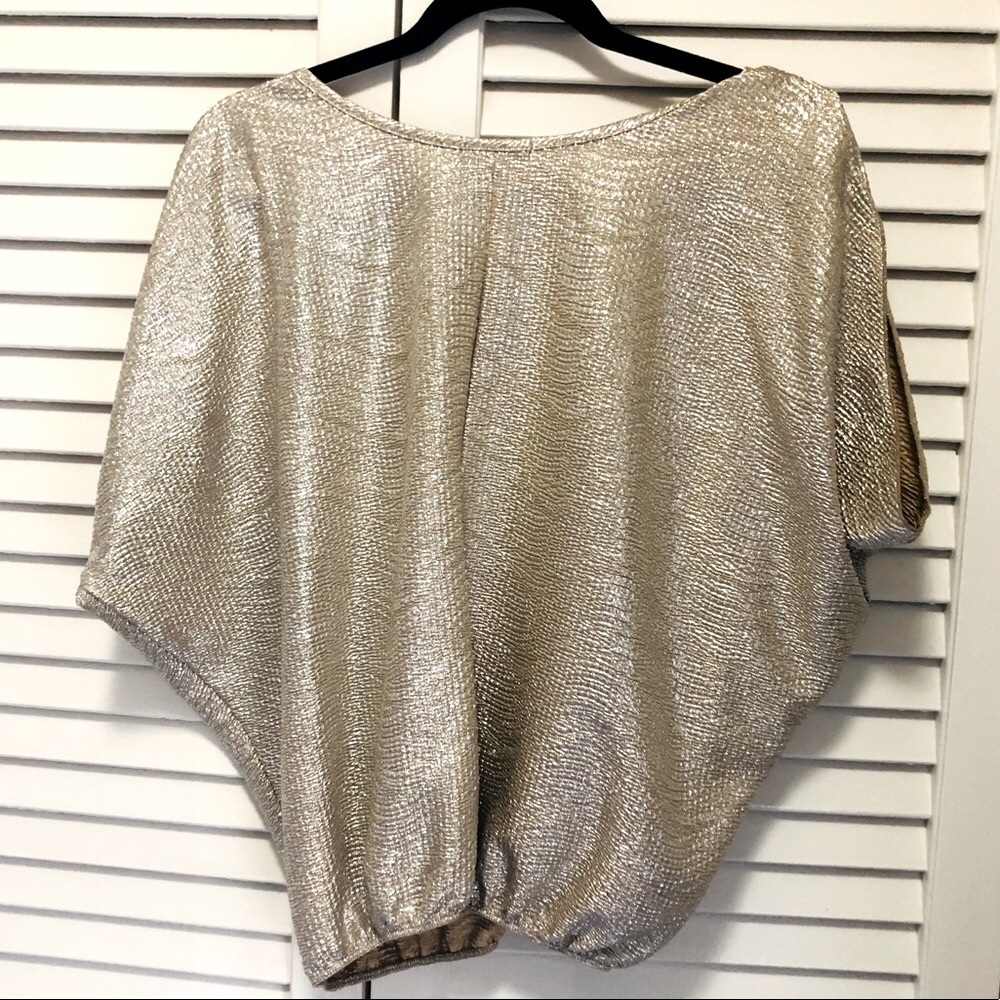 Sliver flowy blouse